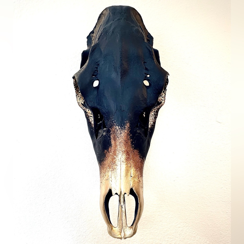 💀✨ hand painted cow elk skull - Picture 4 of 7